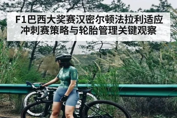 F1巴西大奖赛汉密尔顿法拉利适应冲刺赛策略与轮胎管理关键观察